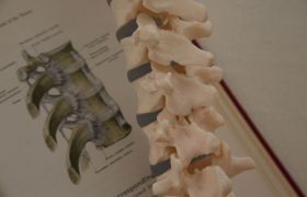Spine and Book